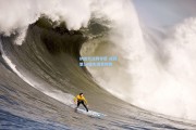 b体育_纳达尔法网夺冠 成就第14座大满贯传奇
